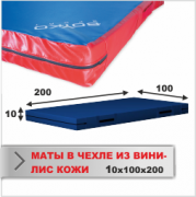 МАТ СПОРТИВНЫЙ Boyko-sport в чехле из ткани ВИНИЛИС КОЖА 10х100х200 фото